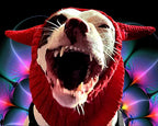 DEVIL DOG™ RINGER TEE