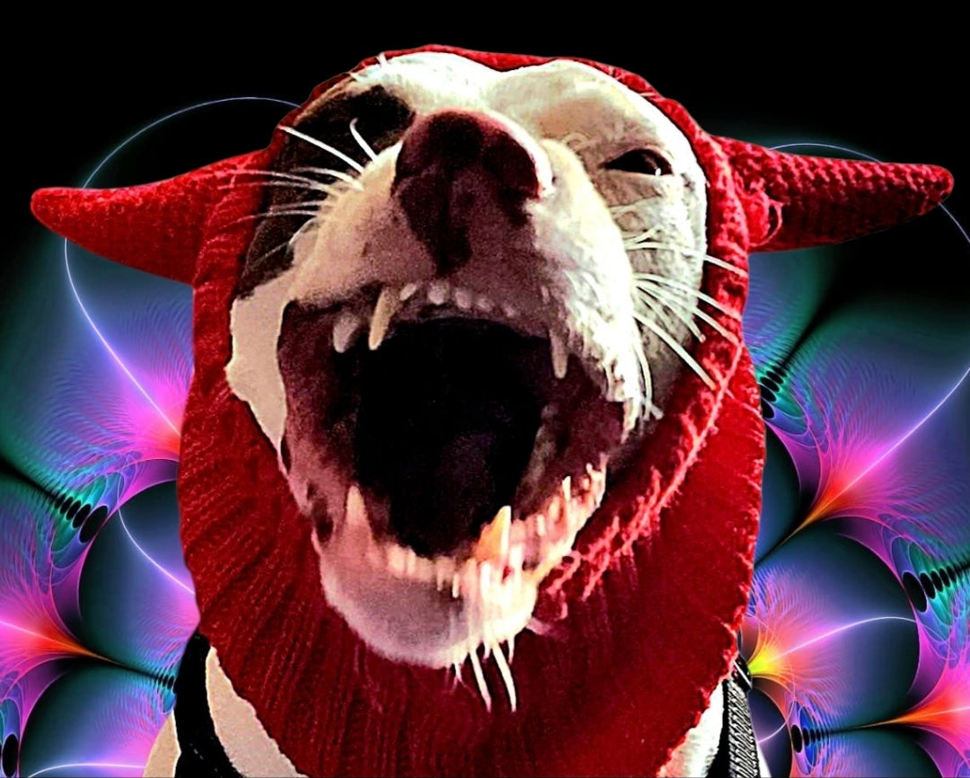 DEVIL DOG™ RINGER TEE